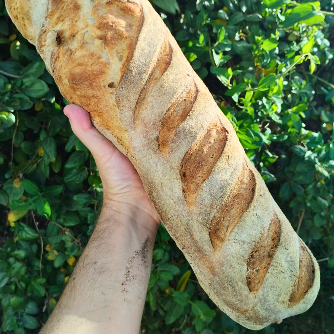 PAN DE CAMPO BAGUETTE