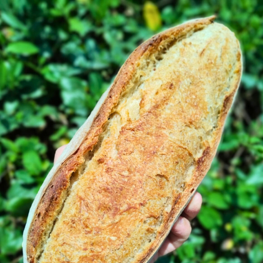 PAN DE CAMPO BAGUETTE